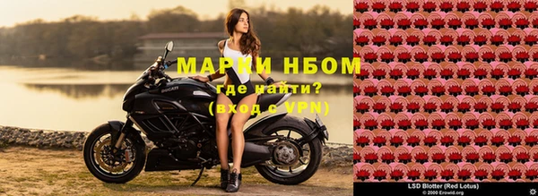 прущая мука Алзамай