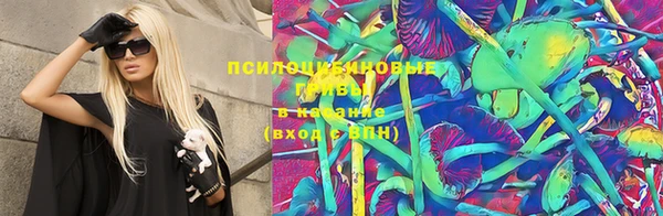 крисы Алексин