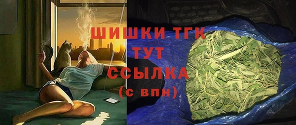 гидра Алексеевка